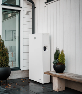 Copy Of Emaldounit 7